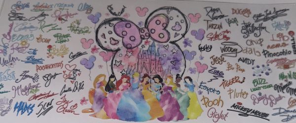 Disney Princesses UV DTF