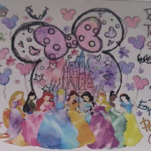 Disney Princesses UV DTF